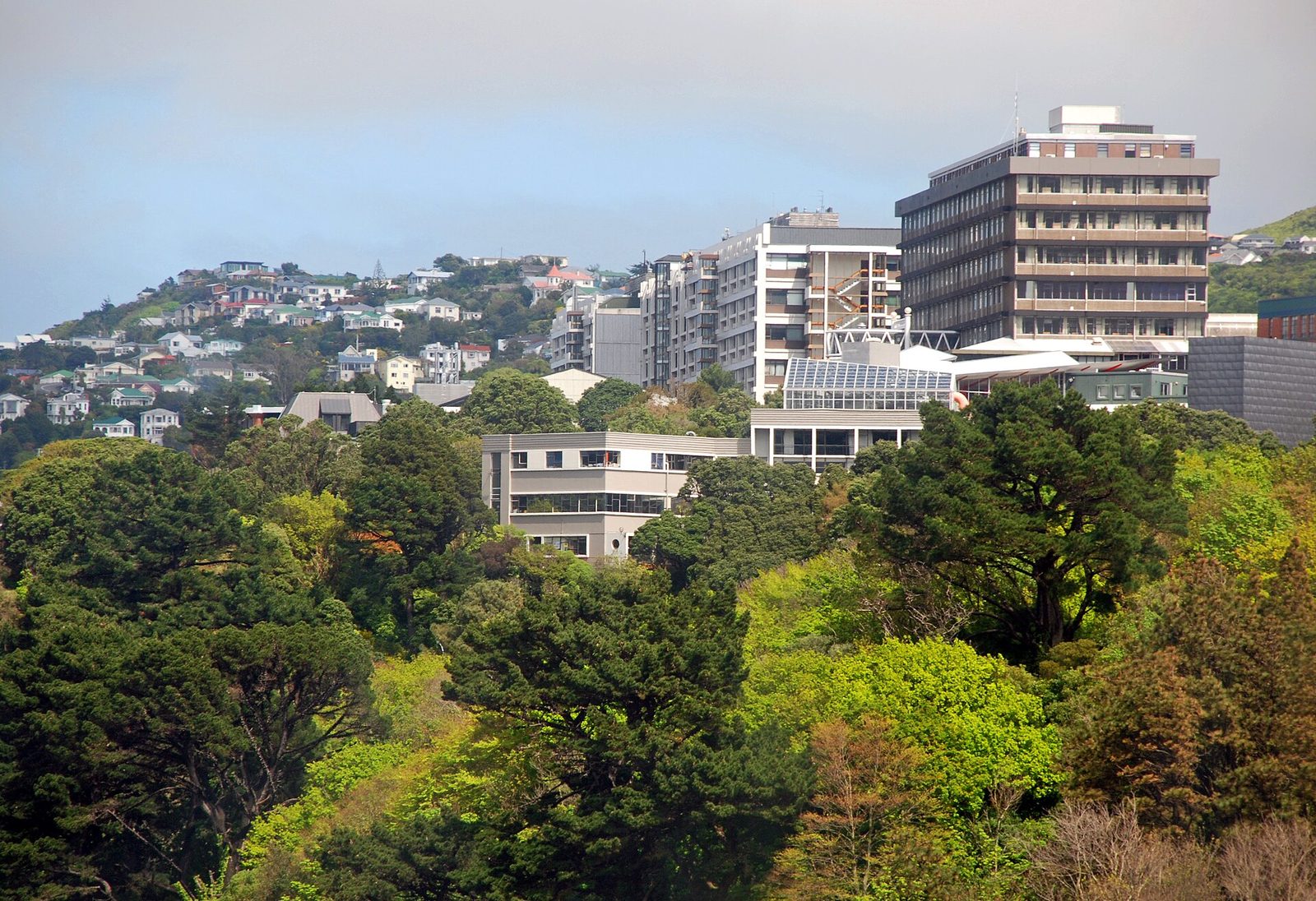 校园实景