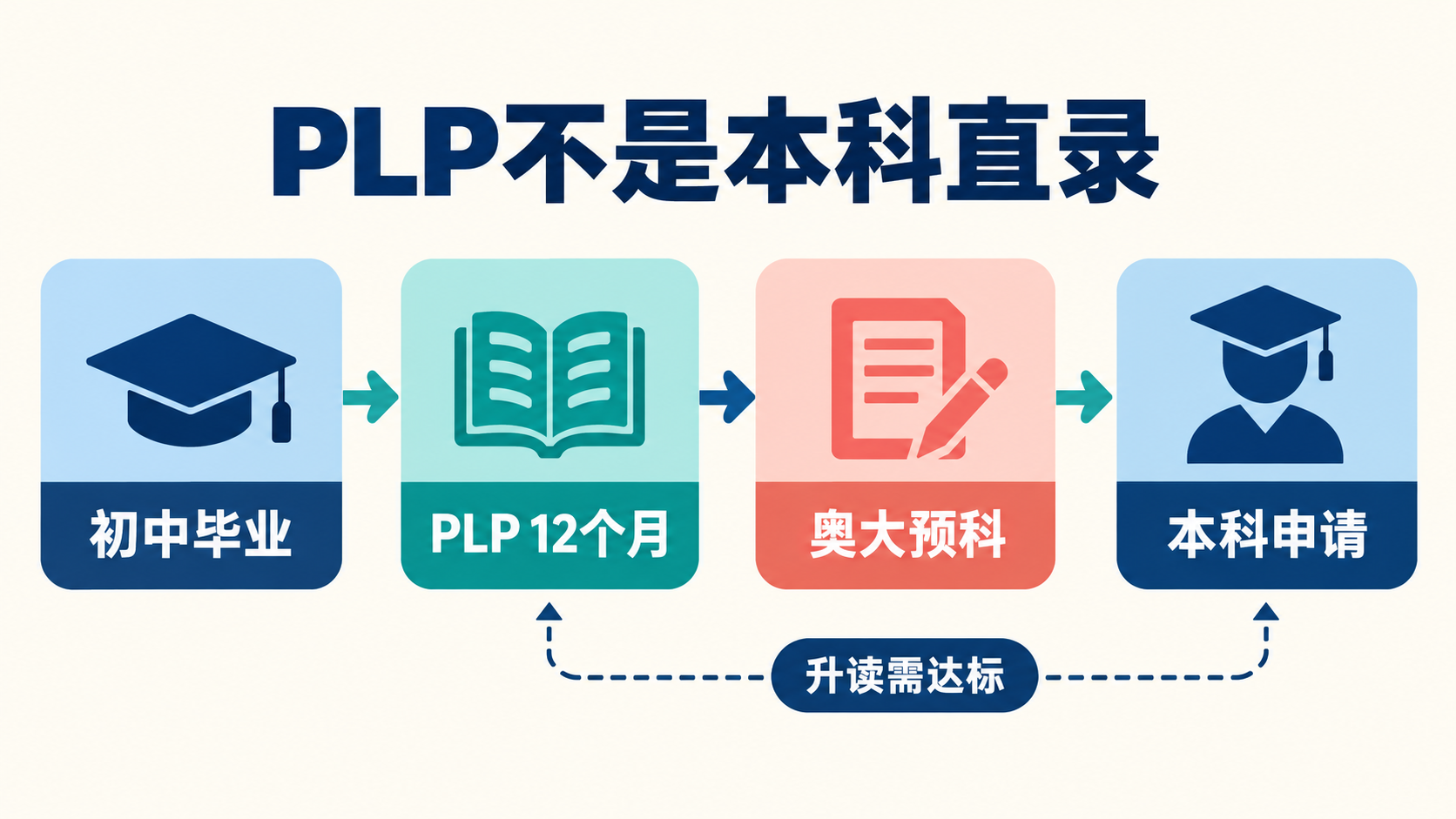 PLP 与本科之间的真实路径