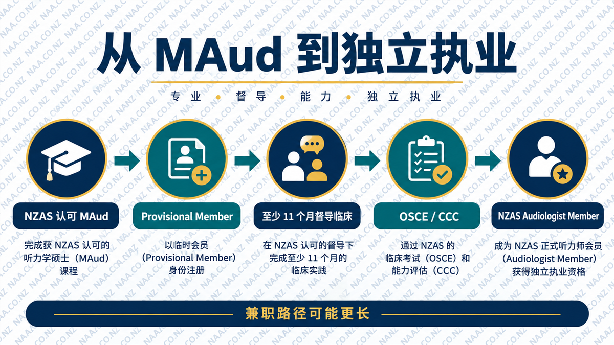 听力学家路径:认可 MAud、督导临床能力、NZAS 会员与合格工作